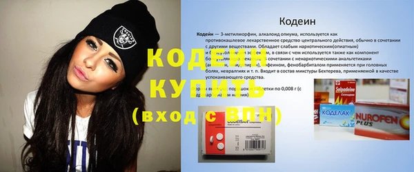 хмурый Кукмор