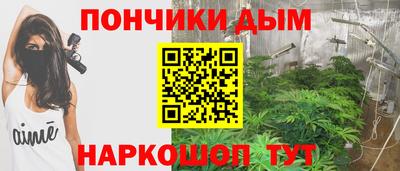 2c-b Камышлов