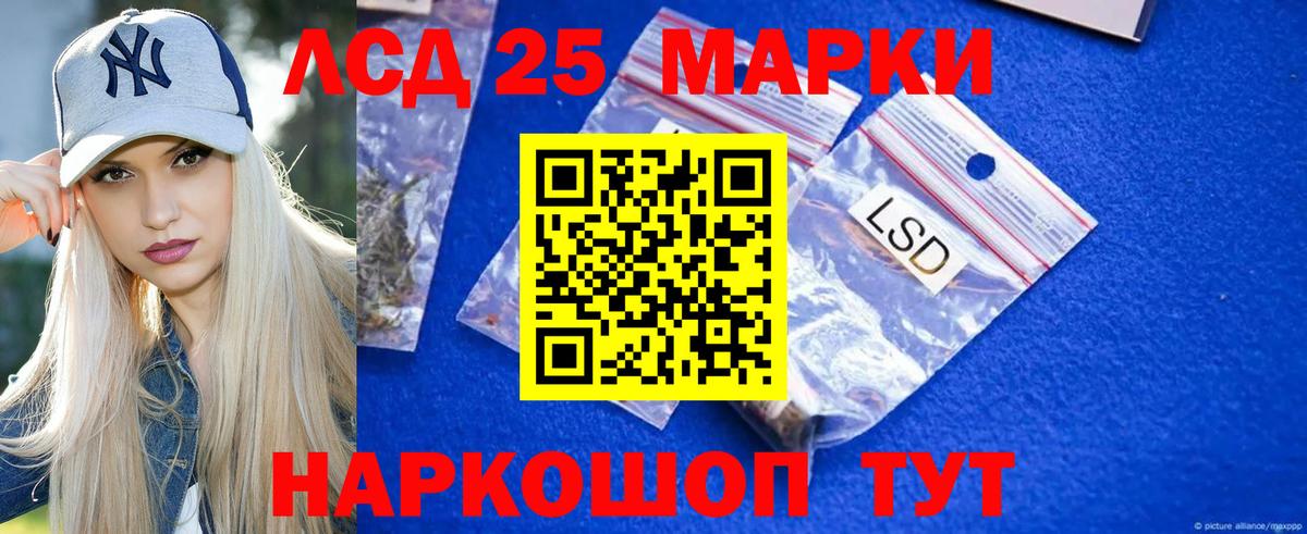 Карачаевск  блэк спрут сайт  ЛСД экстази ecstasy  Вход с VPN  LSD-25 экстази ecstasy 