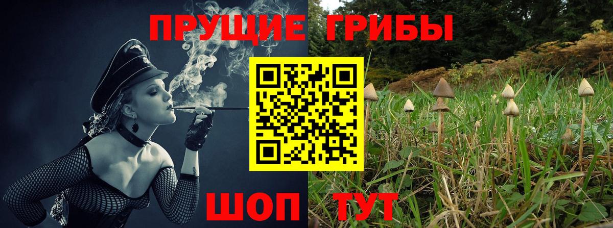 Конопля Карачаевск