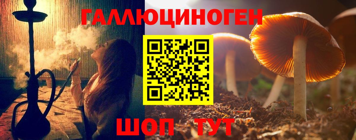 Псилоцибиновые грибы прущие грибы Карачаевск