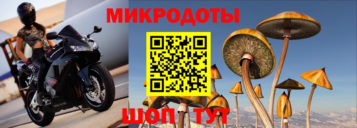 Псилоцибиновые грибы MAGIC MUSHROOMS Карачаевск