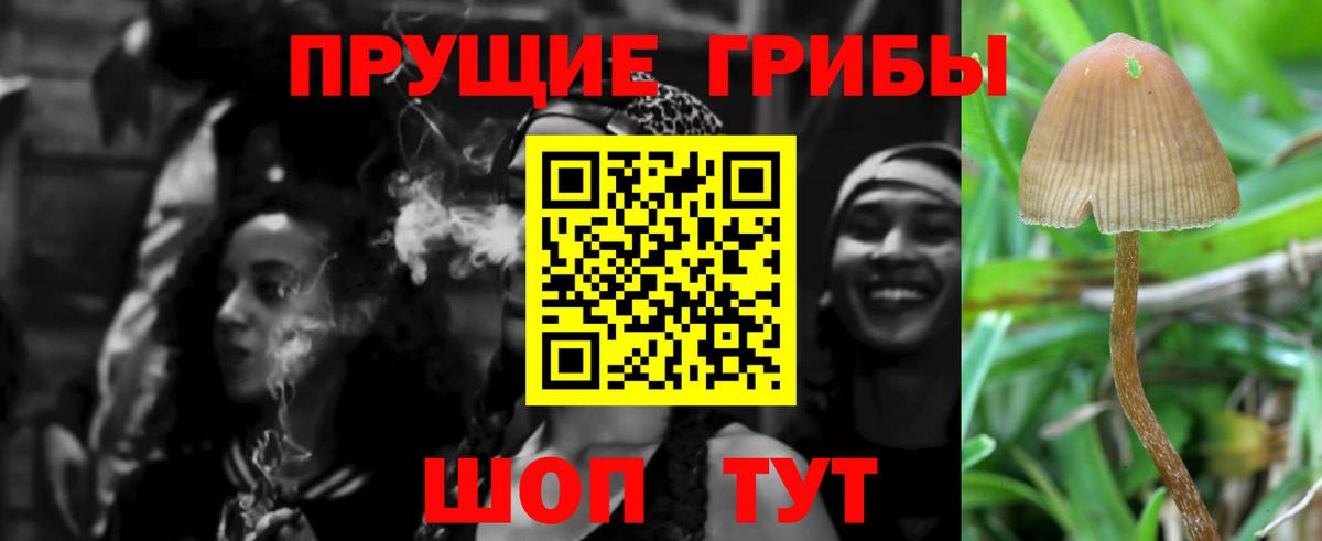 Галлюциногенные грибы ЛСД  Карачаевск 